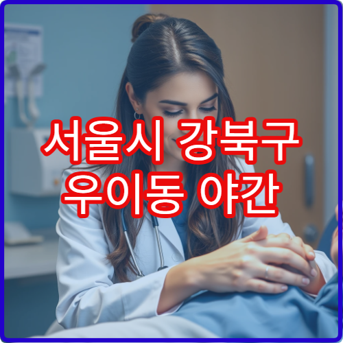 서울시 강북구 우이동 야간 산부인과 난임·불규칙 생리 치료 병원