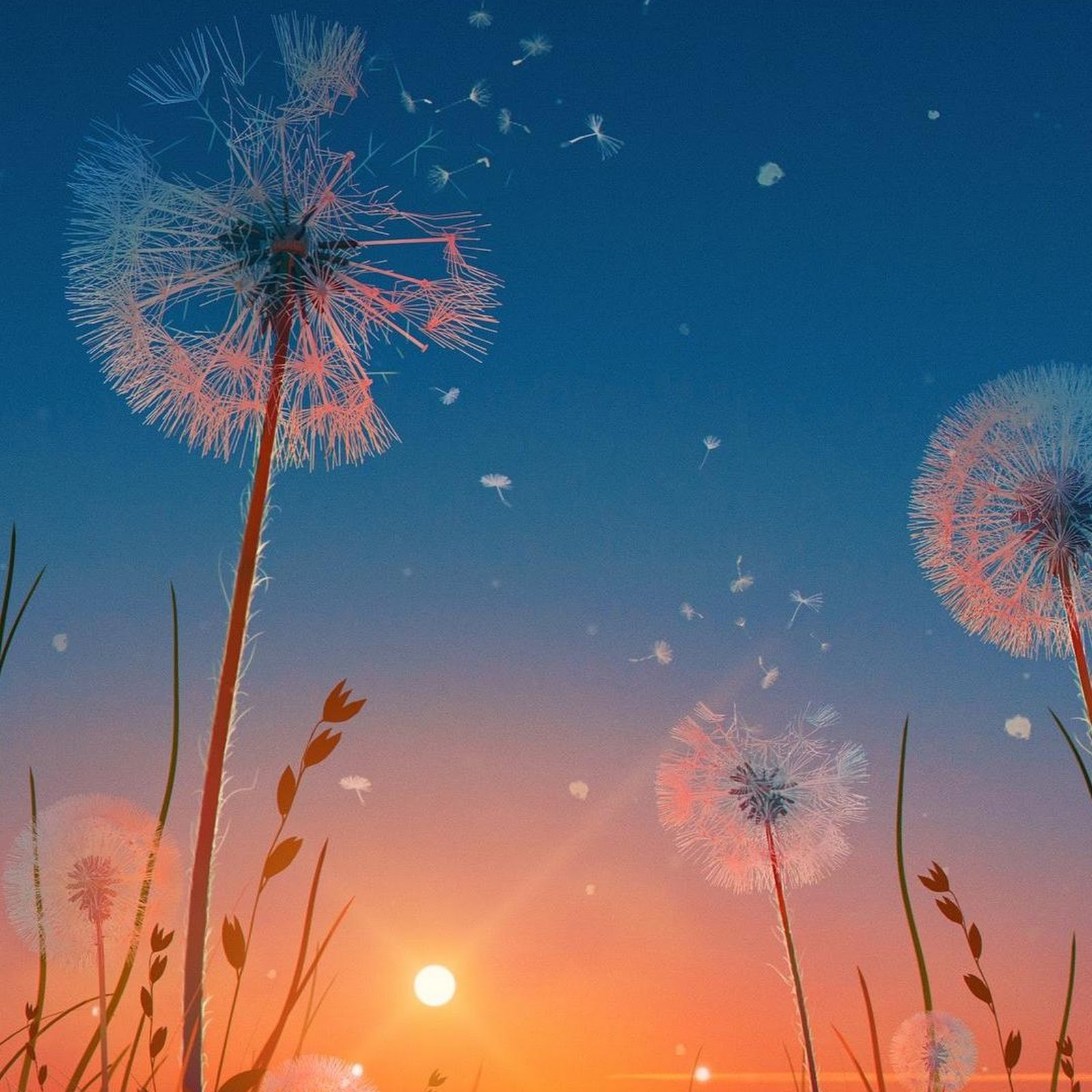 Download Dandelions In Sunset Field Full HD iPhone
