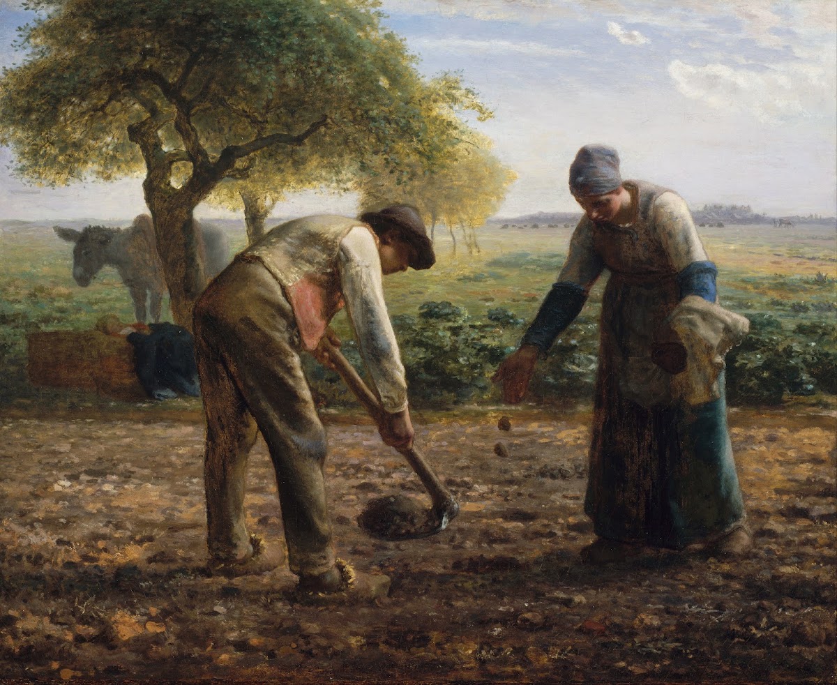 Potato Planters about 1861