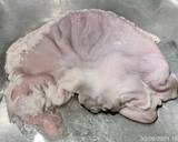 Ảnh Bước 1
