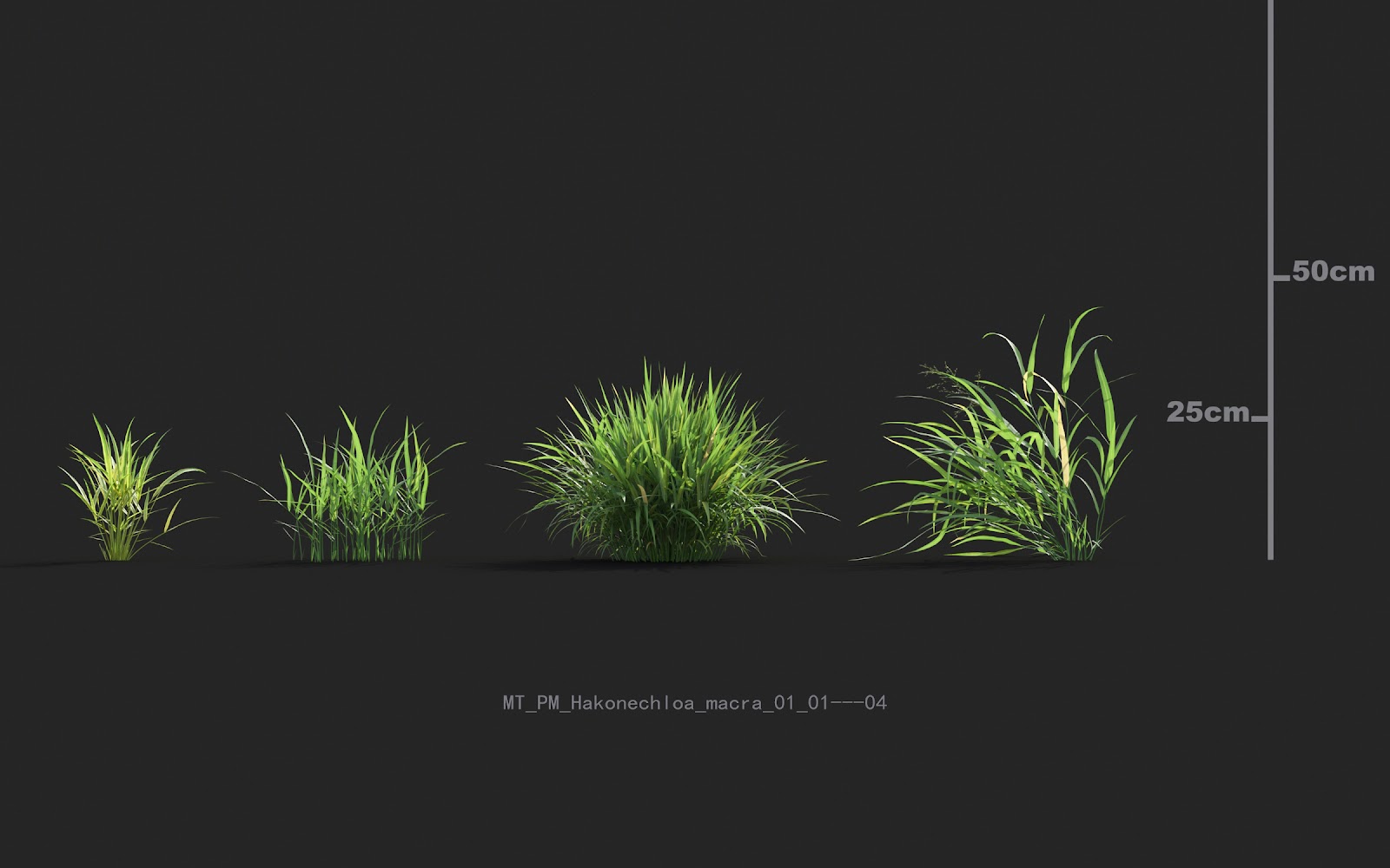 Maxtree - Plant Models Vol.20