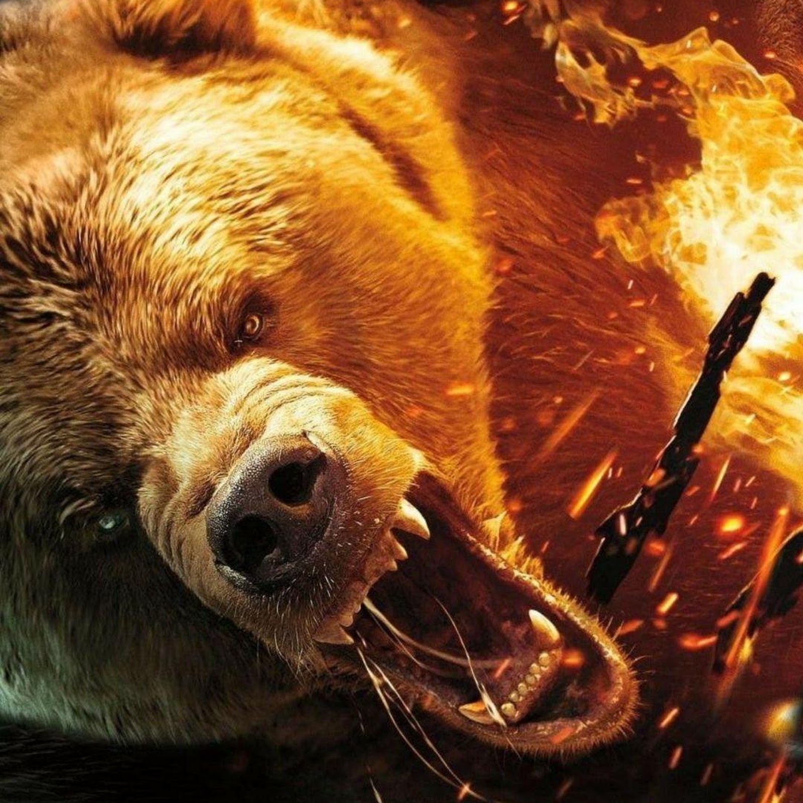 Download Roaring Bear With Fire And Ice Full HD iPhone