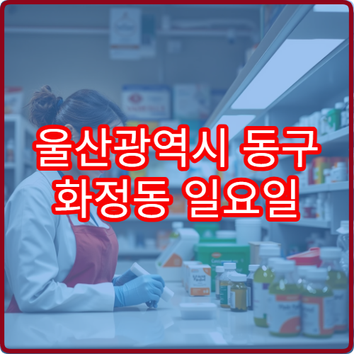 울산광역시 동구 화정동 일요일 영업 약국 위치 정리 안내 위치