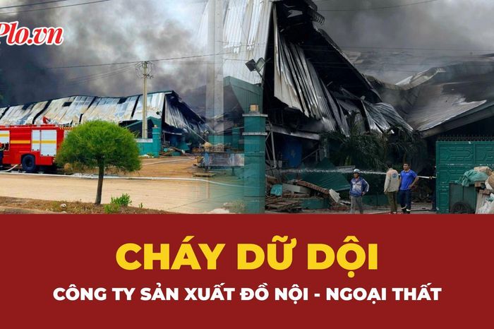Cháy dữ dội tại một công ty ở Gia Lai - Báo Pháp Luật TP.HCM