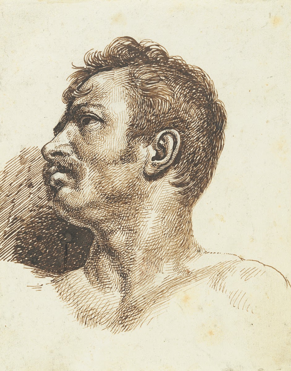 Head of a Man recto