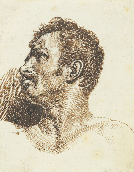 Head of a Man recto