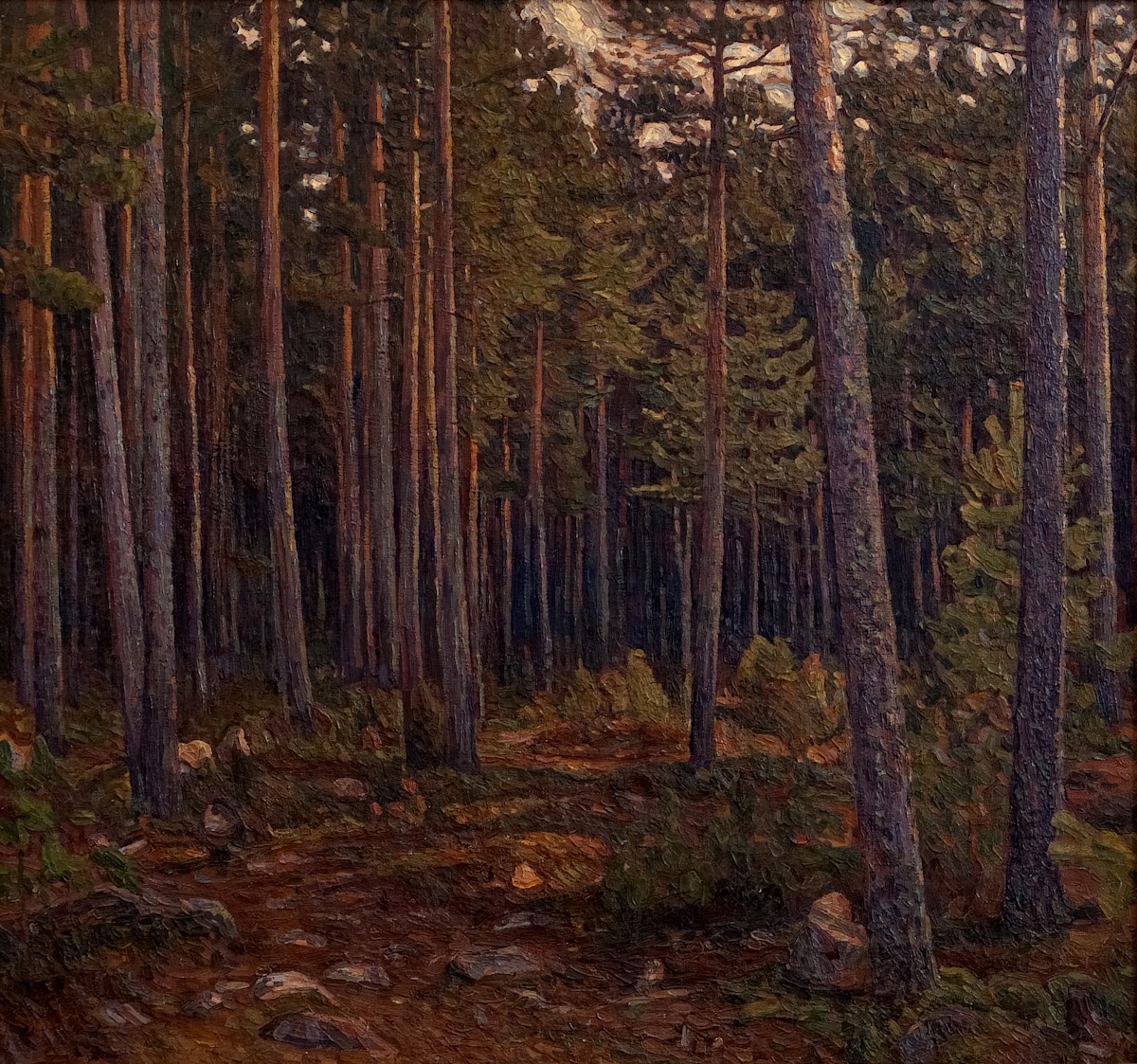 Interior of a Coniferous Forest 1904