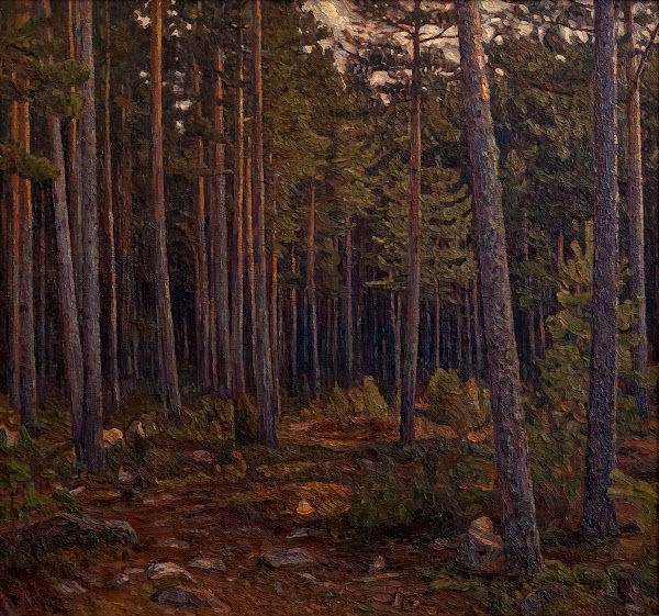 Interior of a Coniferous Forest 1904