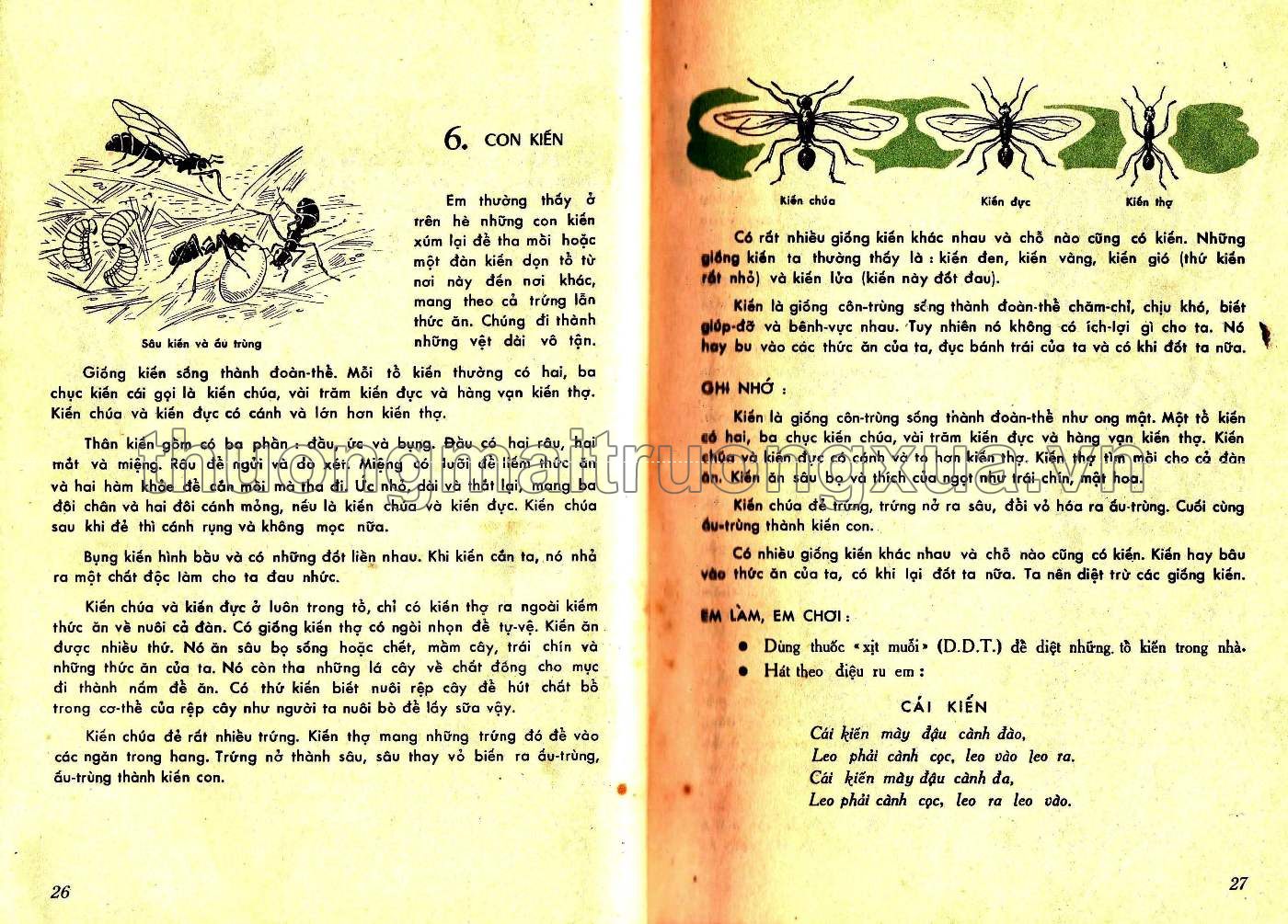 Em tìm hiểu khoa học lớp nhì (1966) - Trang 14