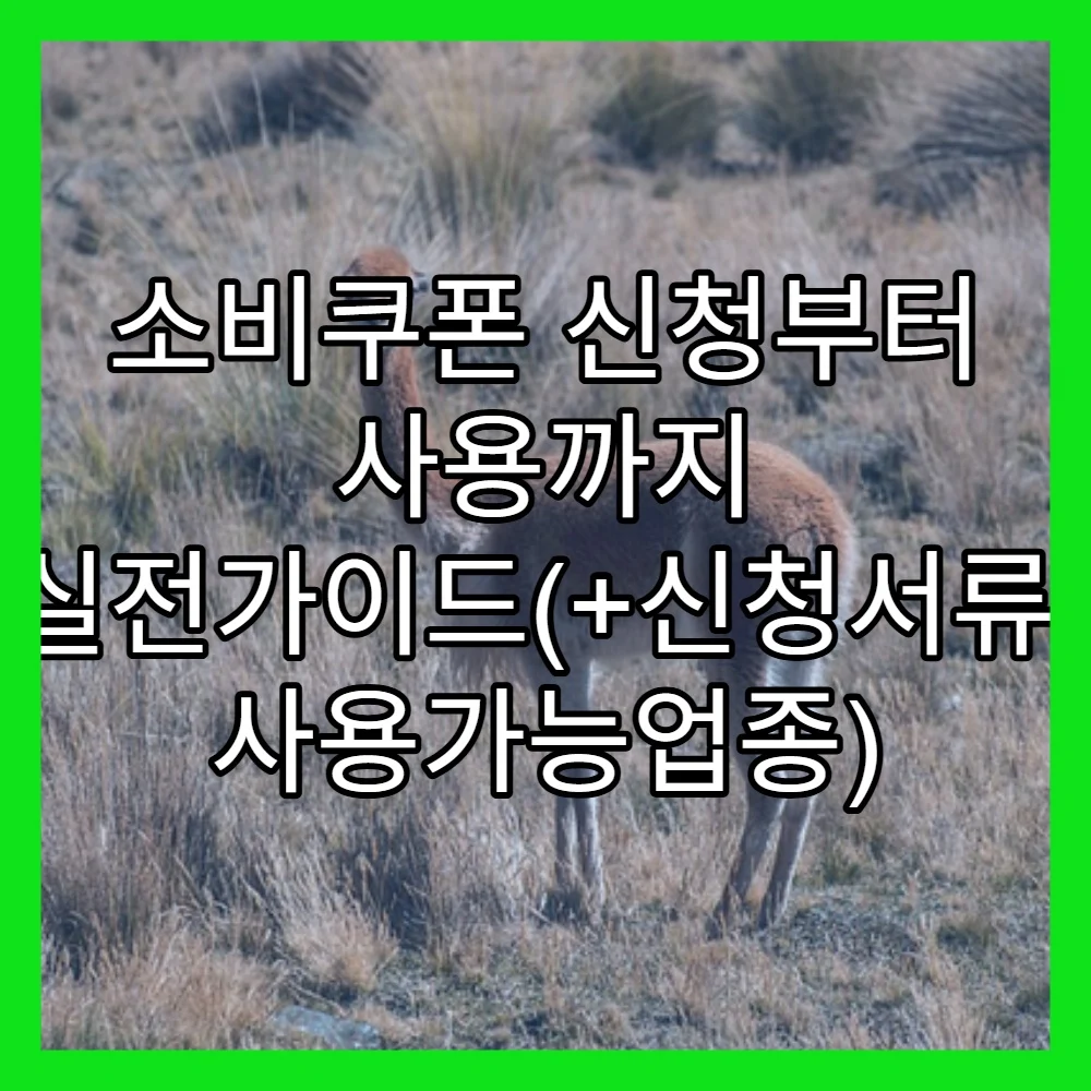 소비쿠폰 신청부터 사용까지 실전가이드(+신청서류, 사용가능업종)