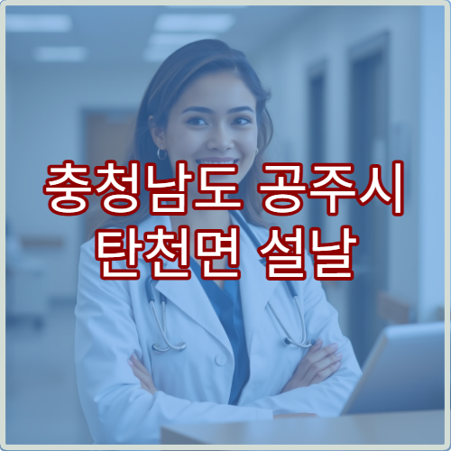 충청남도 공주시 탄천면 설날 연휴 문 여는 약국·비상약국 위치