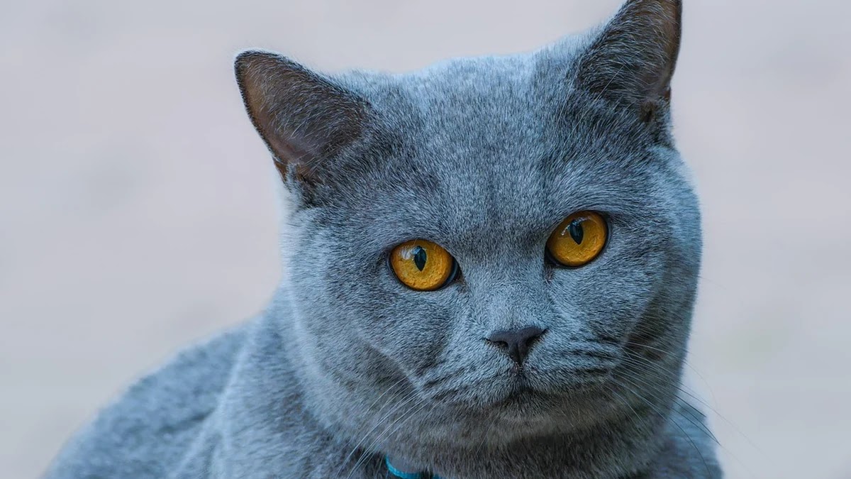 소액 투자로 시작하는 국내 ETF 선택 기준과 방법