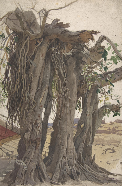 Study Of A Stump With Aerial Roots 19th Century