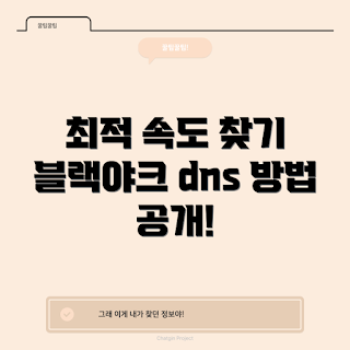블랙야크dns, DNS 최적화, 서버 속도 개선, 웹사이트 성능, 블랙야크 속도