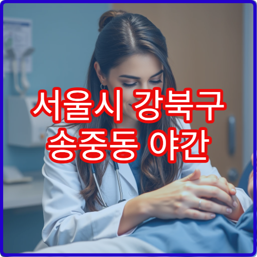 서울시 강북구 송중동 야간 응급의학과 골절·열상 응급 치료 병원