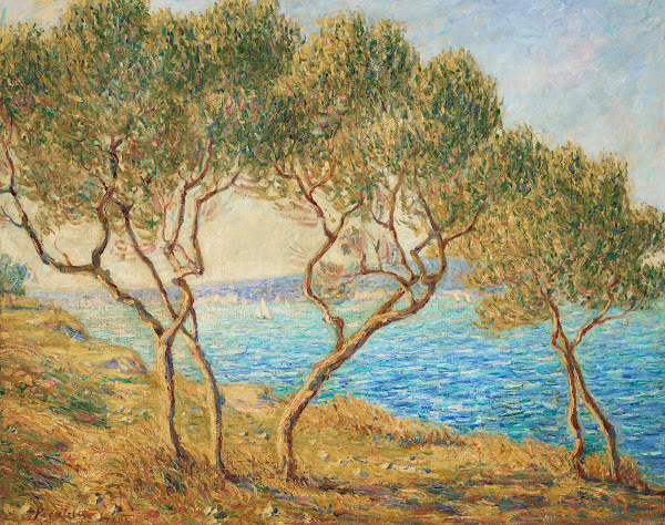 Les oliviers effet de soleil aux Martigues 1905