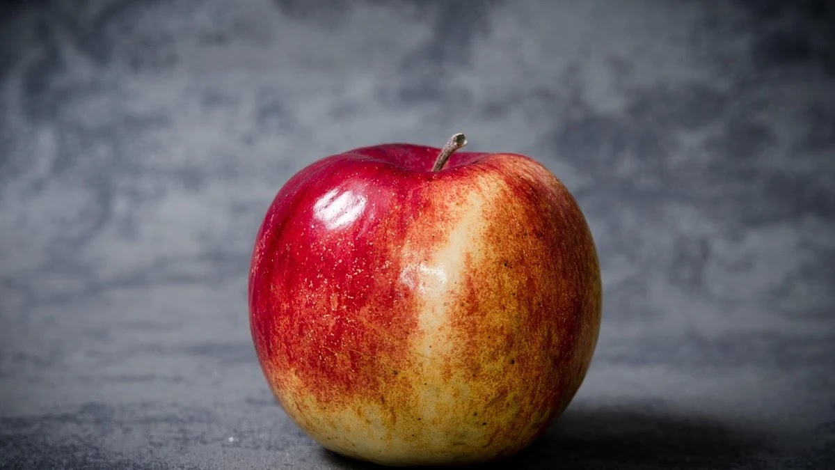 가족별 맞춤 영양제 조합 추천과 선택 기준