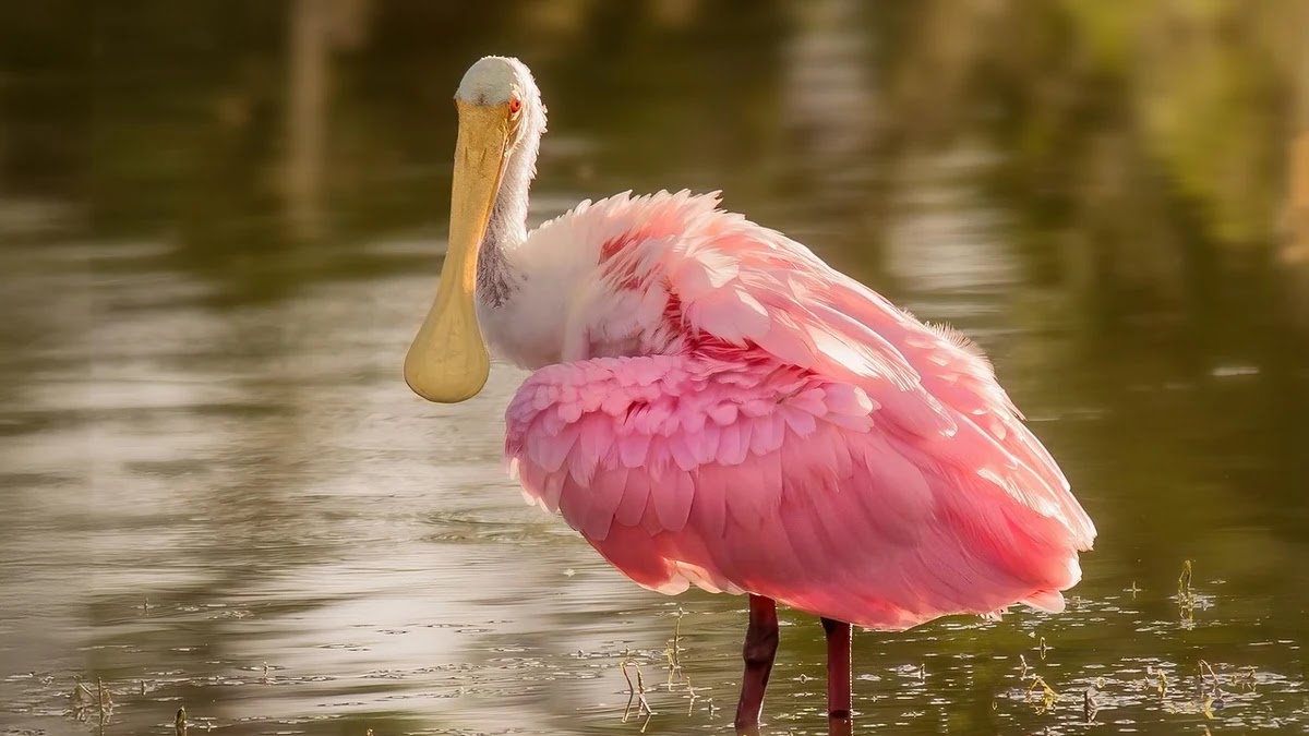 건강검진 보험 청구 절차와 비용 부담 기준