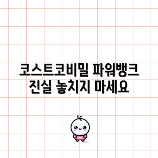 코스트코파워뱅크, 파워뱅크 리뷰, 코스트코 제품, 고용량 배터리, 전자기기 충전