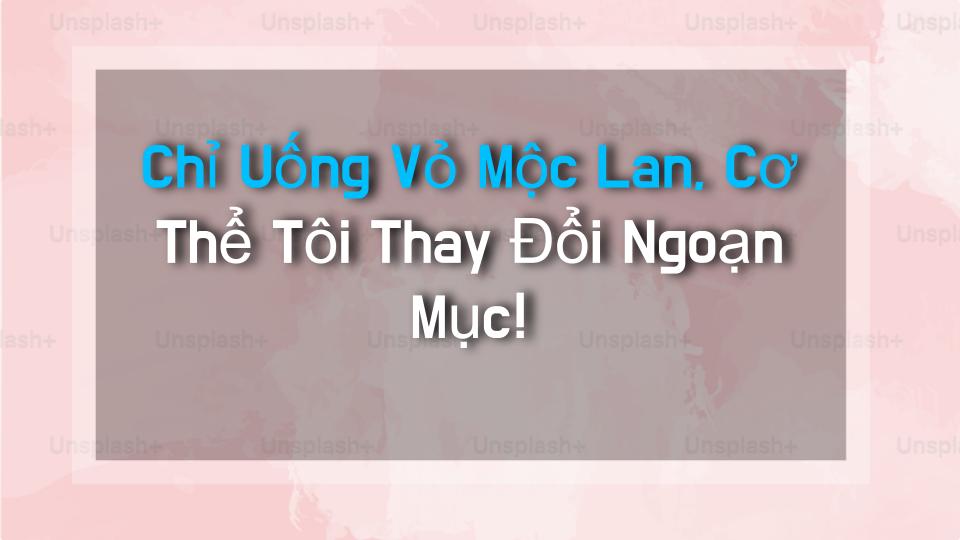 Chỉ Uống Vỏ Mộc Lan, Cơ Thể Tôi Thay Đổi Ngoạn Mục!