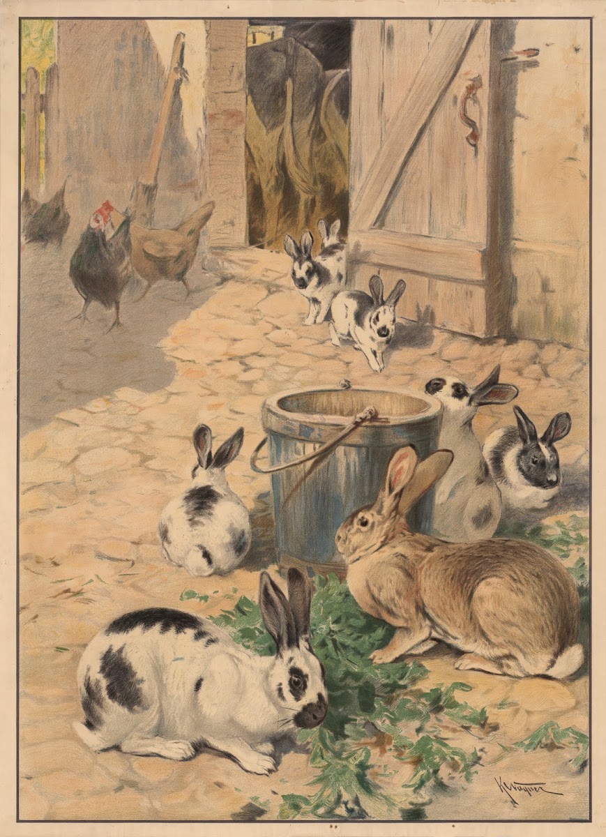 Kaniner 1910