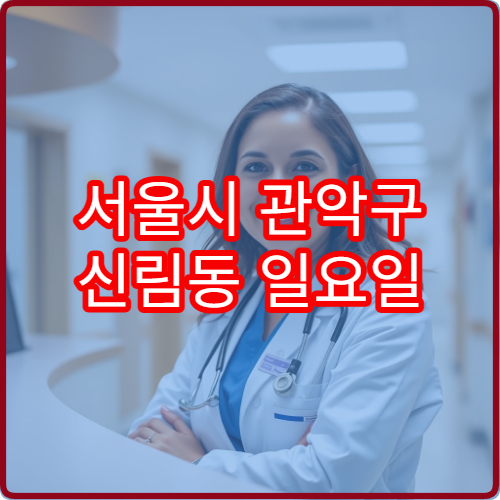 서울시 관악구 신림동 일요일 성형외과 주말 진료 여부