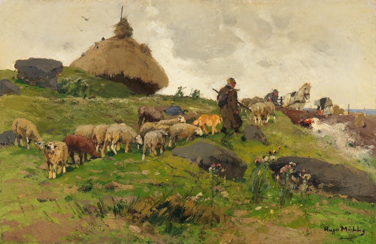 Schäfer mit Herde auf dem Heimweg 1908