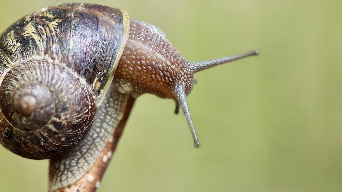 태블릿 터치스크린 센서 종류별 구조와 반응속도 차이 비교