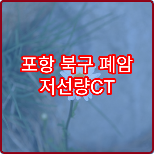 포항 북구 폐암 저선량CT 50대 2026 무료 검진 대상