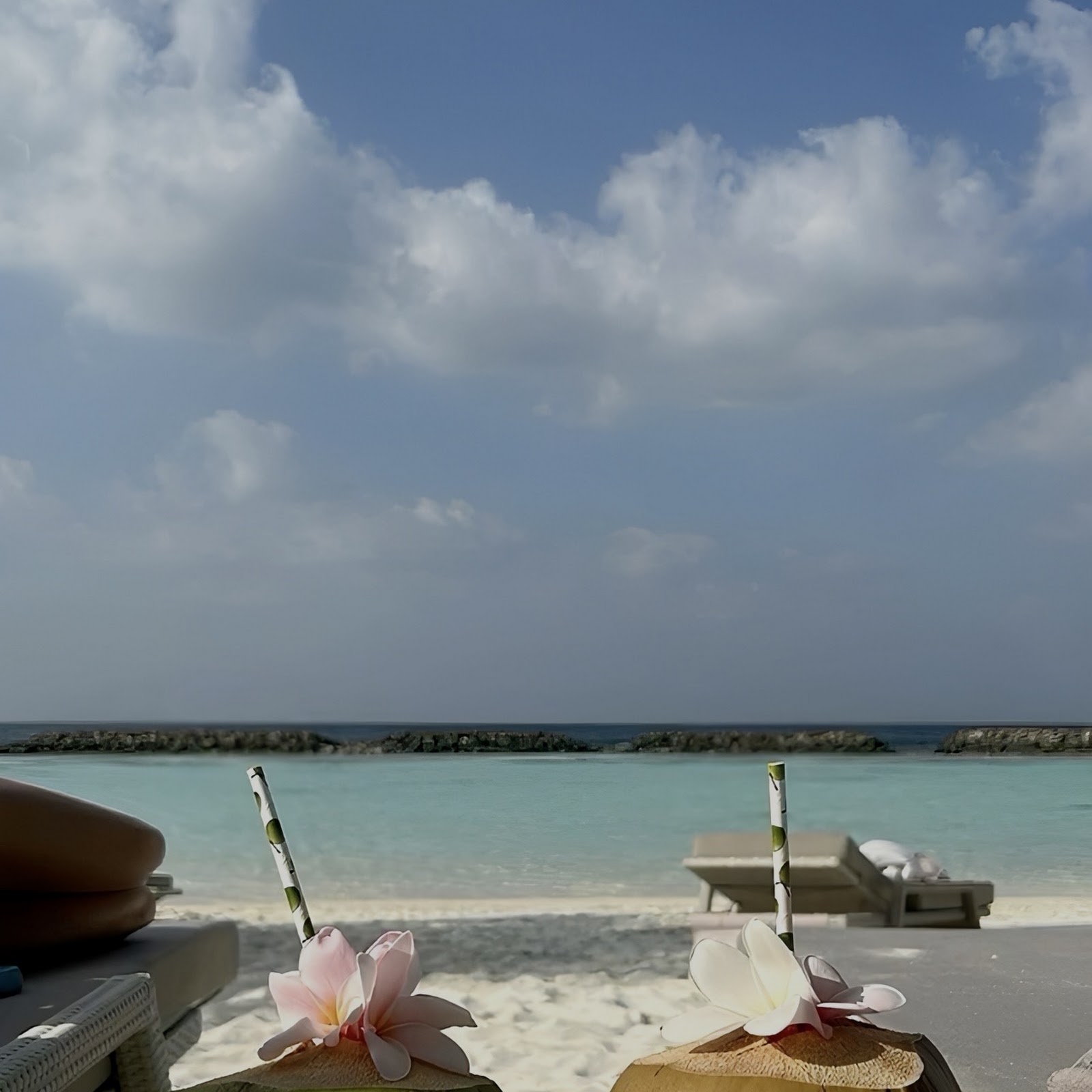 Download Fresh Coconuts on Tropical Beach Full HD iPhone