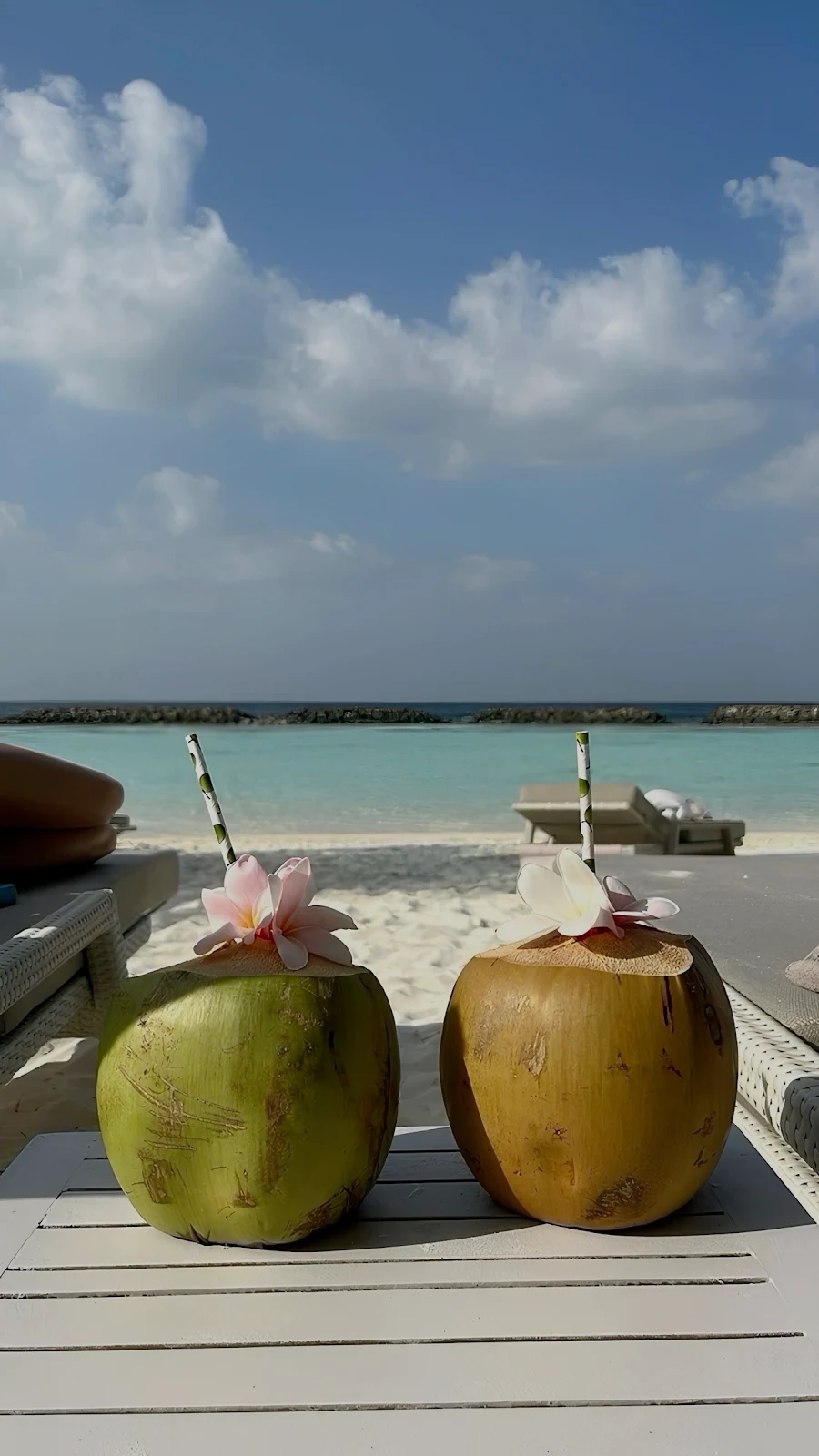 Fresh Coconuts on Tropical Beach - Travel Photography Full HD iPhone Wallpaper (1286x2286)