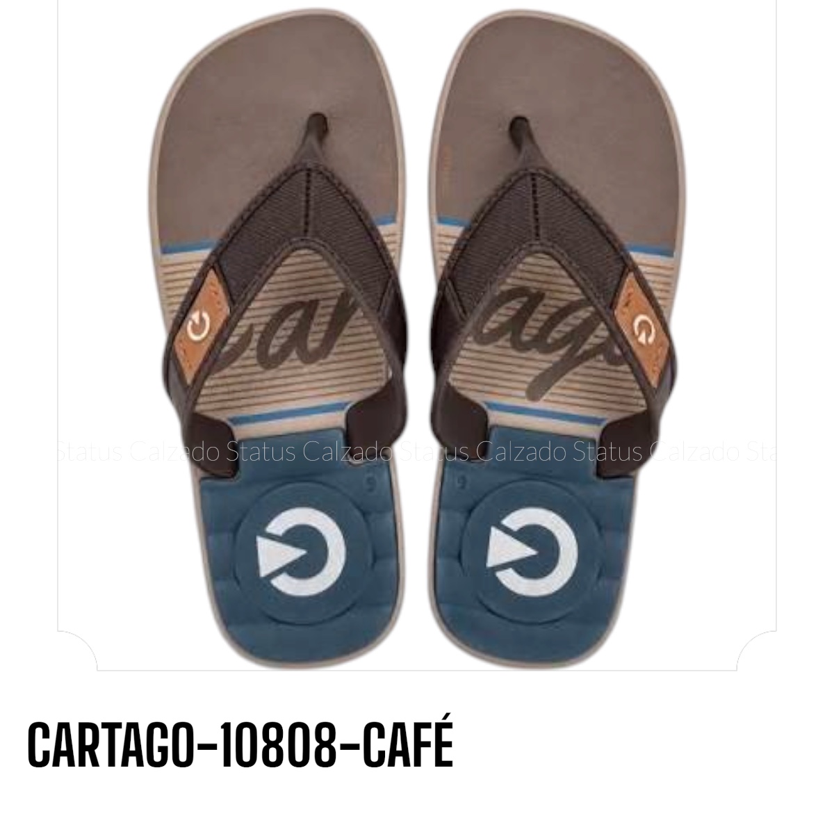 CARTAGO-10808-CAFÉ