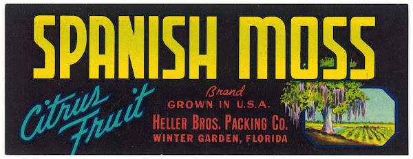 Spanish Moss Brand Citrus Fruit Label 1930 1950