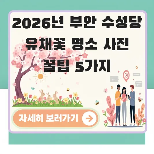 부안 수성당 유채꽃 명소 사진