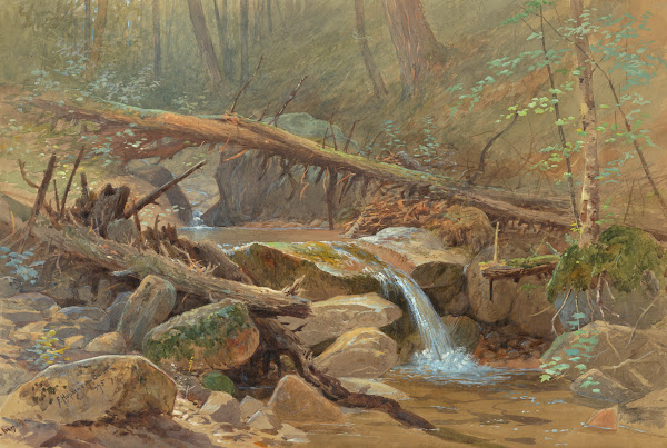 Pool in the Woods 1875