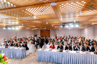 BinhPhoto-4550.jpg
