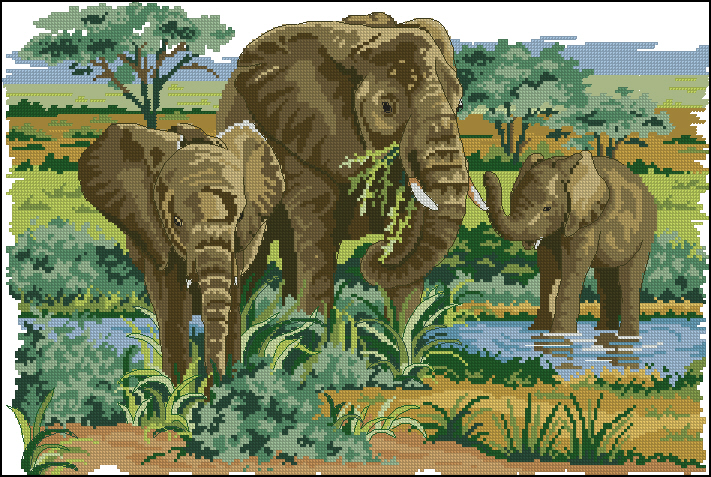CMP PCE918 Elephants In The Wild