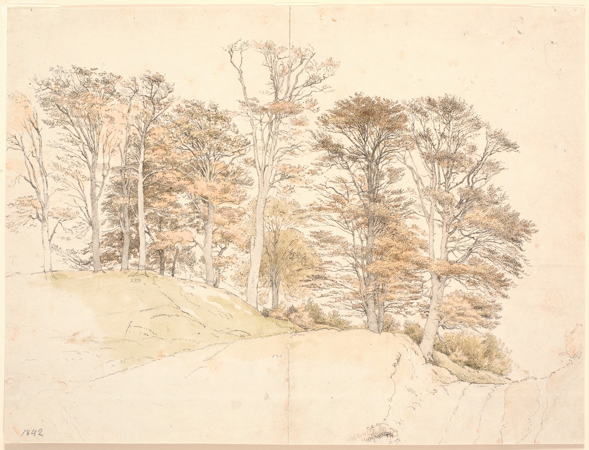 Høje træer med efterårsløv på bakket grund 1842