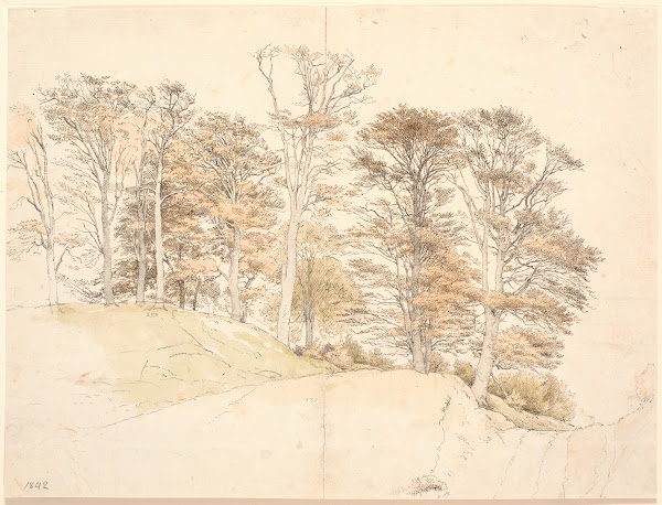 Høje træer med efterårsløv på bakket grund 1842