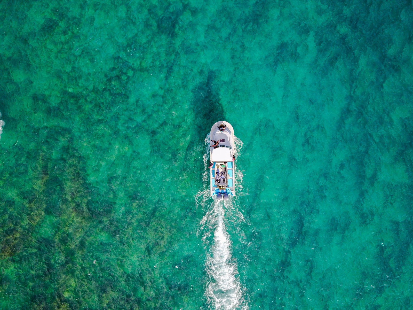Aside from psychological benefits, blue spaces also have environmental impacts to absorbing urban heat, which gives a cooling effect to the area by the water environment, making them a natural temperature regulator. Blue sea ocean well being, nature mental health, blue spaces mental health, blue space psychological, blue spaces mood and stress. CarbonEthics Indonesia