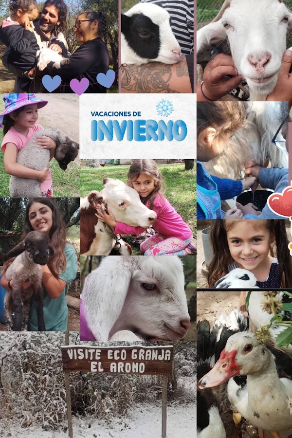 Vacaciones de Invierno Eco Granja El Aromo