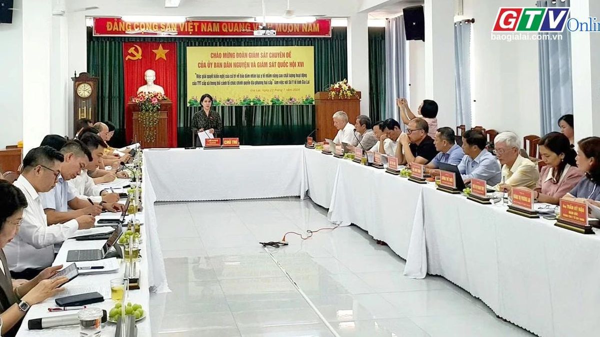 Điểm tin trưa: Đoàn giám sát Quốc hội làm việc với Sở Y tế Gia Lai về nhân lực y tế cơ sở - Báo Gia Lai