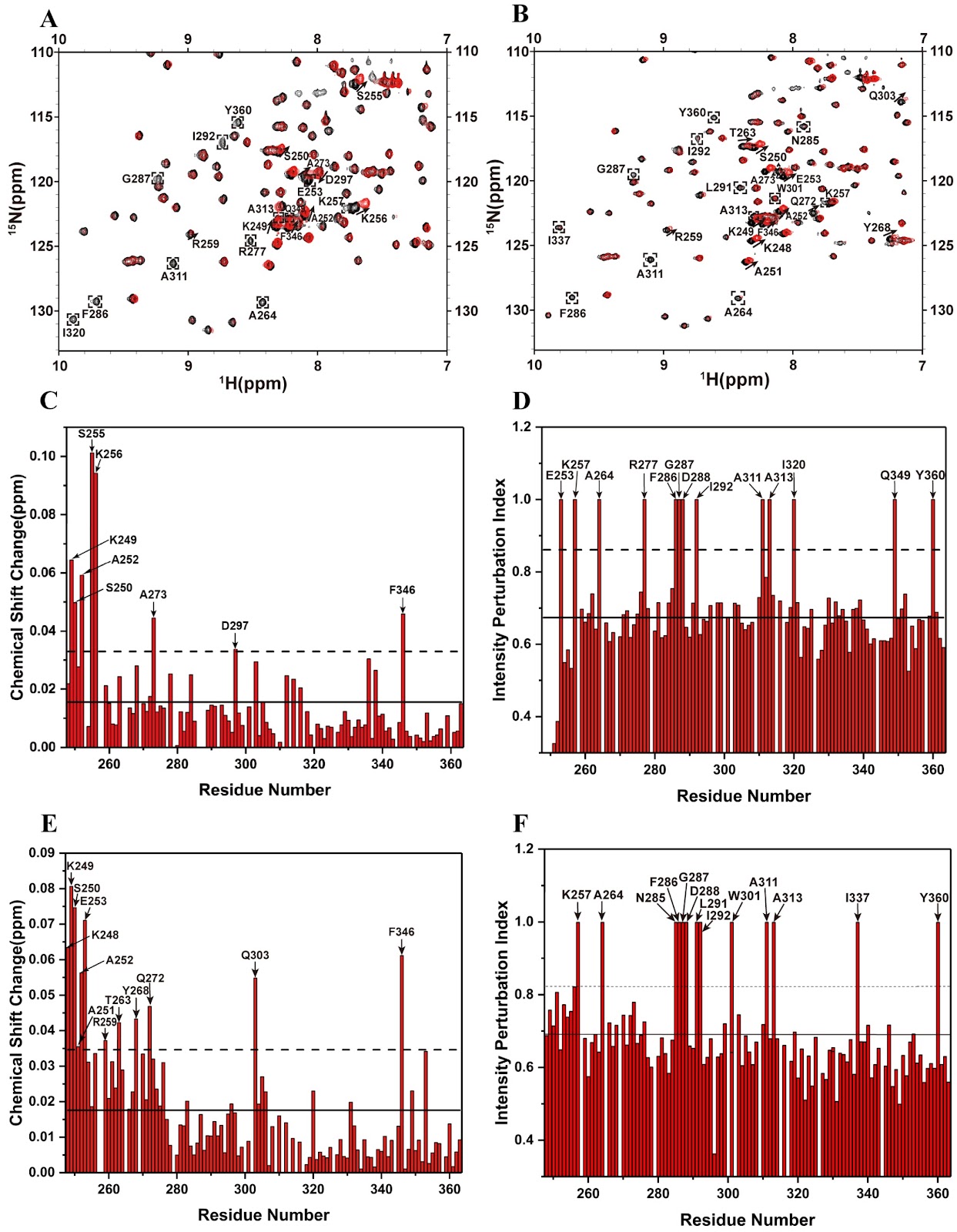 Structural basis for suramin binding to the C-terminal domain of the SARS-CoV-2 nucleocapsid protein