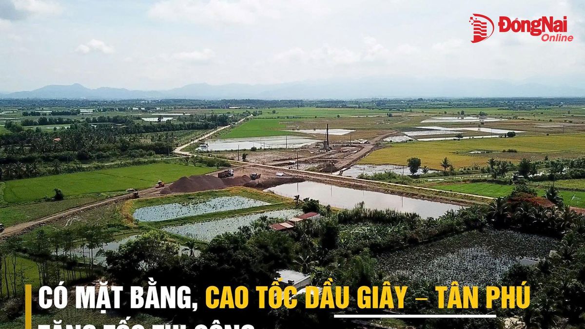 [Video] Có mặt bằng, cao tốc Dầu Giây - Tân Phú tăng tốc thi công - Báo Đồng Nai