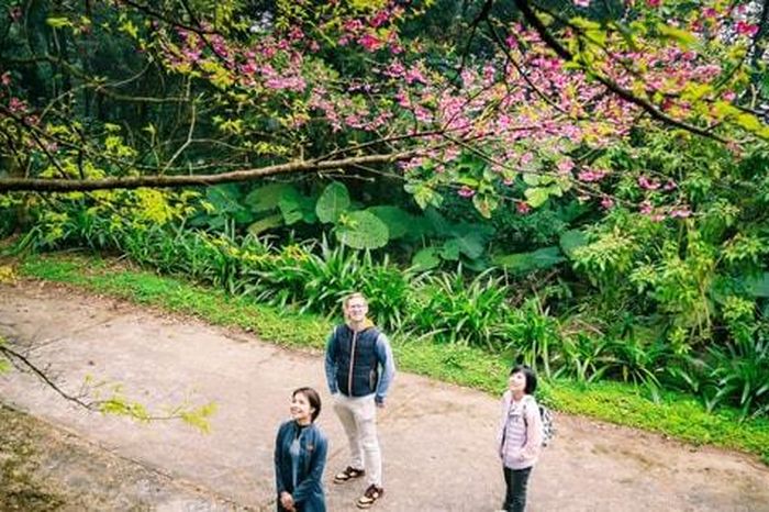 Hà Nội cần gì để bứt phá du lịch xanh? - Báo Hà Nội Mới