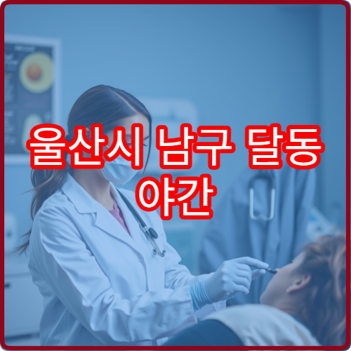 울산시 남구 달동 야간 산부인과 진료 가능한 병원 여성 검진 정보