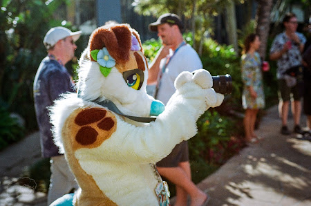furdu-23.jpg