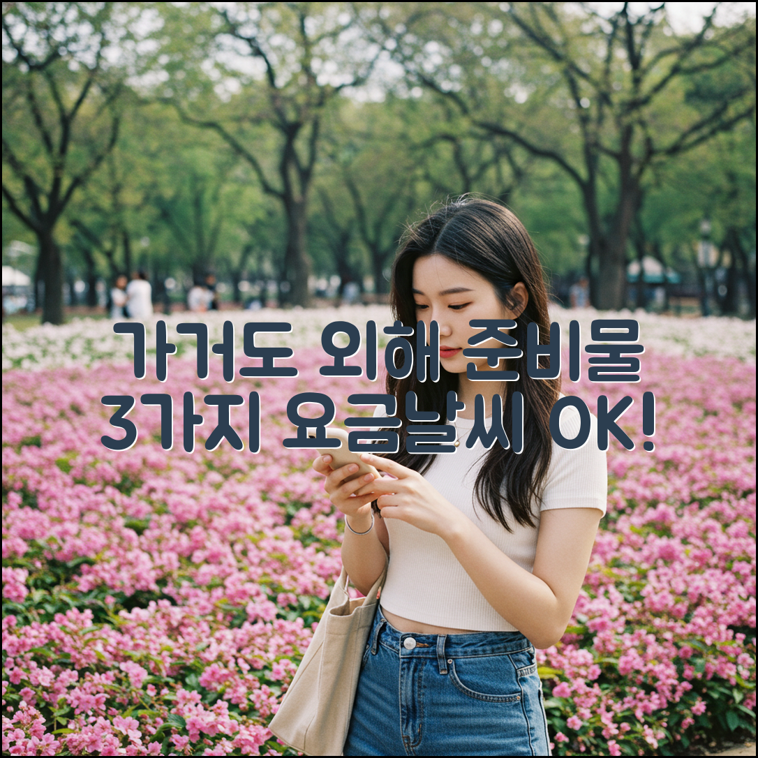 가거도 외해 3가지 준비물·요금·날씨 완벽 체크!