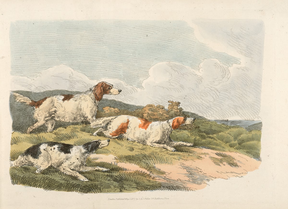 Running hounds 1817 1818
