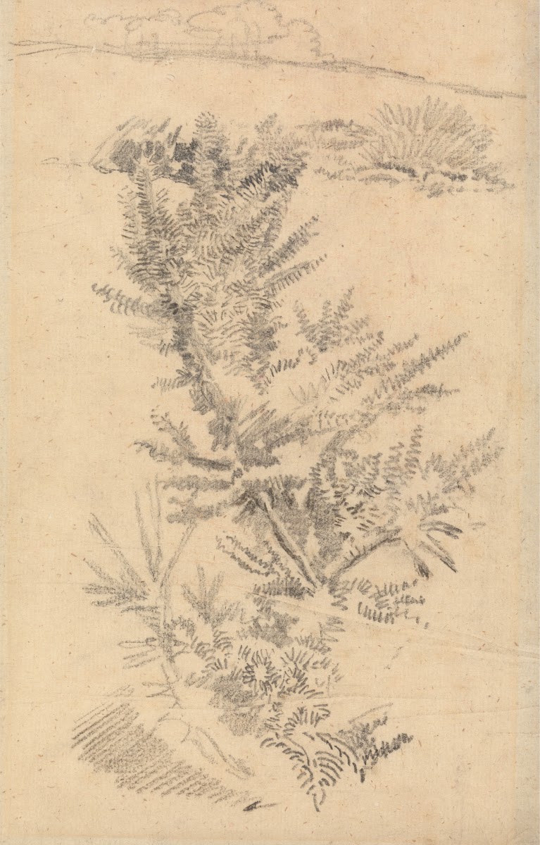 Study of Trees etc in a Meadow 1866